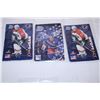 Image 2 : Kraft Dinner Hockey Collectible Cards (7)