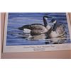 Image 2 : 1987 Limited Edition Ducks framed picture