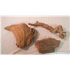 Image 2 : (2) pieces of driftwood + (1) rock that looks like wood