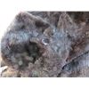 Image 2 : Pieces of muskrat fur coat