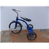 Image 1 : *Vintage Tricycle (1970's) Raleigh