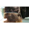Image 7 : Ladies Hudson Bay jacket dark brown fur mink collar - size 14/16