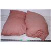 Image 1 : Down Filled Pillows (2)