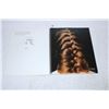 Image 2 : Braid Book,Cassettes (7)