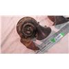 Image 4 : 2 antique car horns