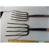 Image 2 : *(2) Pitch Forks