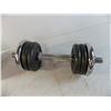 Image 3 : (2) Barbells (threaded style) with 35LB (total weight)