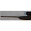Image 4 : Win. Model 70 WSM rifle, .300 Mag, Tasco scope, s#3029732, only fired 33 times
