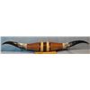 Image 1 : Longhorn steer horns, 35" wide