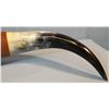 Image 4 : Longhorn steer horns, 35" wide