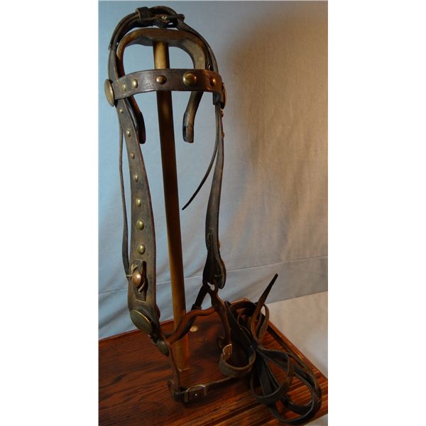 2 bridles: bridle w/glass rosettes & McChesney curb bit and Brass studded bridle w/iron bit