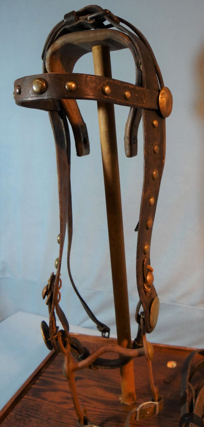 2 bridles bridle w/glass rosettes & McChesney curb bit and Brass