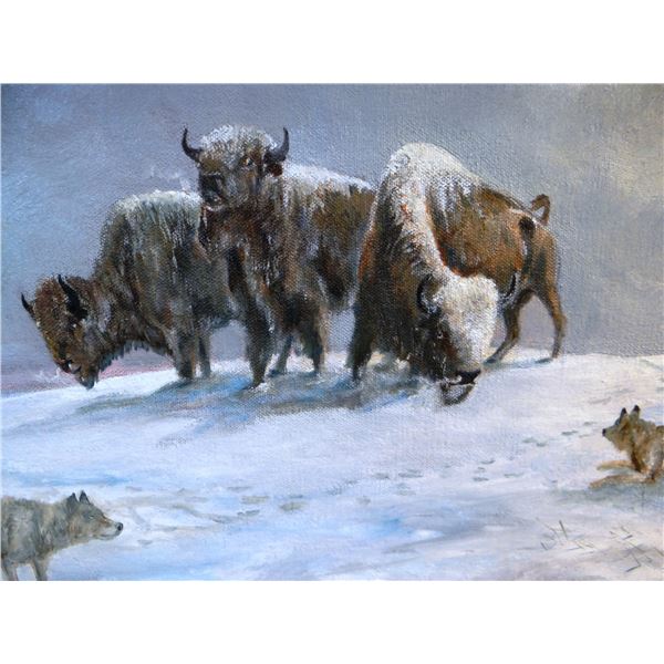Sampson, Will (Sonny), deceased, oil painting, Buffalo and wolves, 18" x 24". Movie actor, best know