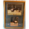 Image 1 : Schwartzman, Mark wildlife photos, framed, 10" x 13" and 10" x 8"