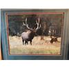 Image 2 : Schwartzman, Mark wildlife photos, framed, 10" x 13" and 10" x 8"
