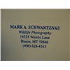Image 4 : Schwartzman, Mark wildlife photos, framed, 10" x 13" and 10" x 8"
