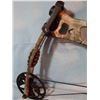 Image 4 : Hoyt Pro Hawk 50- 60 compound bow