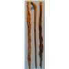 Image 1 : Three diamond willow carved walking sticks