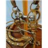 Image 3 : Visalia bit in 16 plait braided headstall w/silver trim and matching hackamore headstall