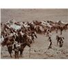 Image 2 : Huffman, L. A. photo, The Rope Corral,  45" h x 59" w, framed