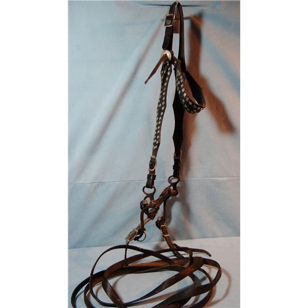 Fancy old bridle w/diamond studs w/iron bit