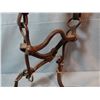Image 5 : Fancy old bridle w/diamond studs w/iron bit