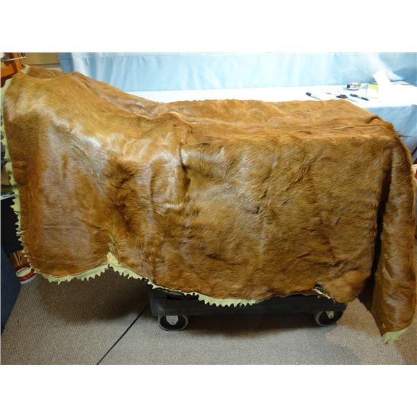Antique cowhide lap robe, 56" x 68"