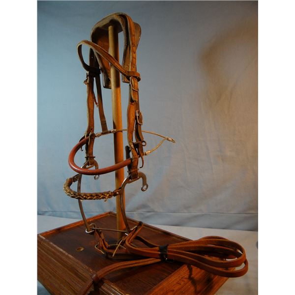 Victor Ario headstall w/Crockett hackamore bit