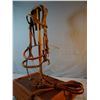 Image 1 : Victor Ario headstall w/Crockett hackamore bit