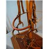 Image 2 : Victor Ario headstall w/Crockett hackamore bit