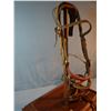 Image 3 : Victor Ario headstall w/Crockett hackamore bit