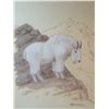 Image 1 : Peters, Les, oil on paper, Glacier Mountain Goat, 9" x 7"