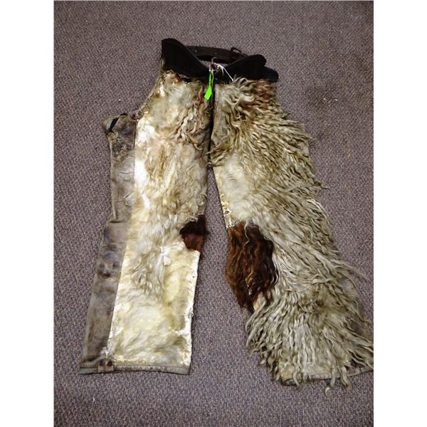Henry L. Kuck white/brown wooly shotgun chaps, The Dalles, OR, ca. early 1900's, show considerable c