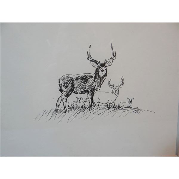 Lougheed, Robert pen/ink, Mule Deer,  6" x 8"