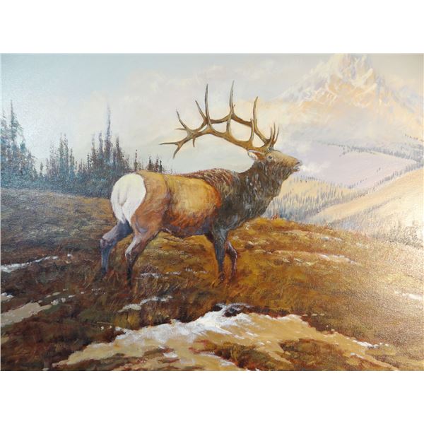 Cheek, C. R. oil on canvas, 24" x 30", Bugling Elk