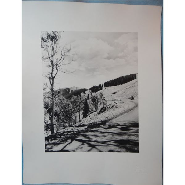 Haynes, F. J.  original 7 1/2" x 9" photo of Mount Washburn, Yellowstone Park, silver gelatin