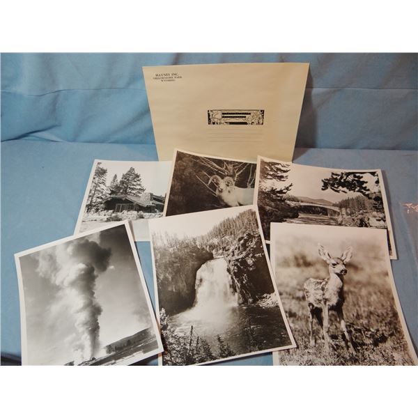 24 Haynes, F. J. original 8" x 10" photos w/Haynes envelopes, back stamped, silver gelatin (silver g