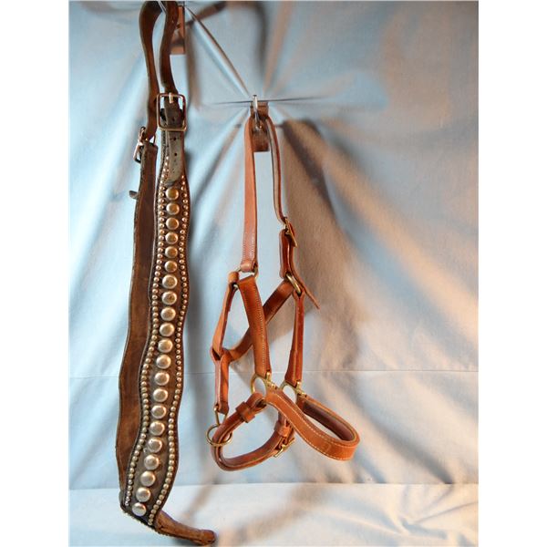 Devores Saddlery leather halter, Helena, MT & older studded breast collar