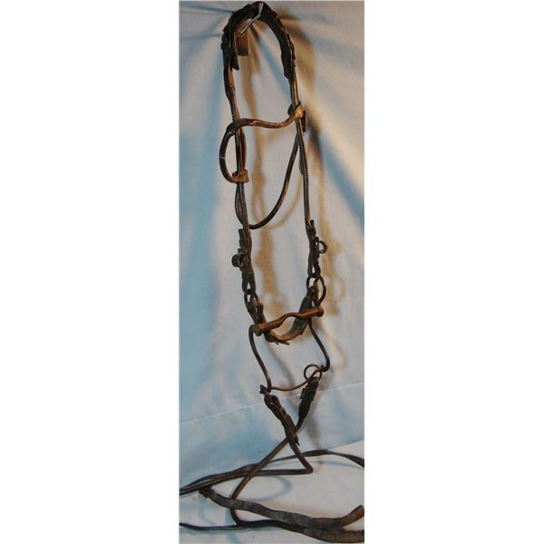 U. S. Cavalry officer's parade bridle, Shoemaker bit w/brass US buttons