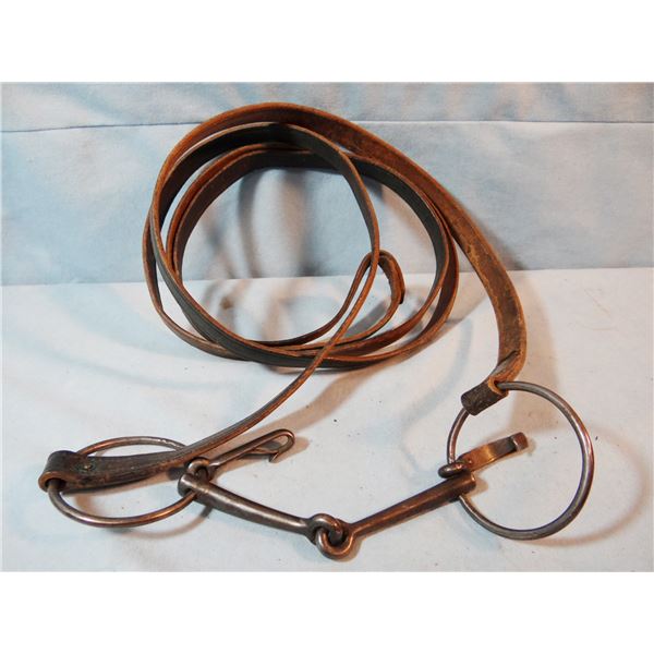 Snaffle bit w/reins for watering