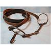 Image 2 : Snaffle bit w/reins for watering