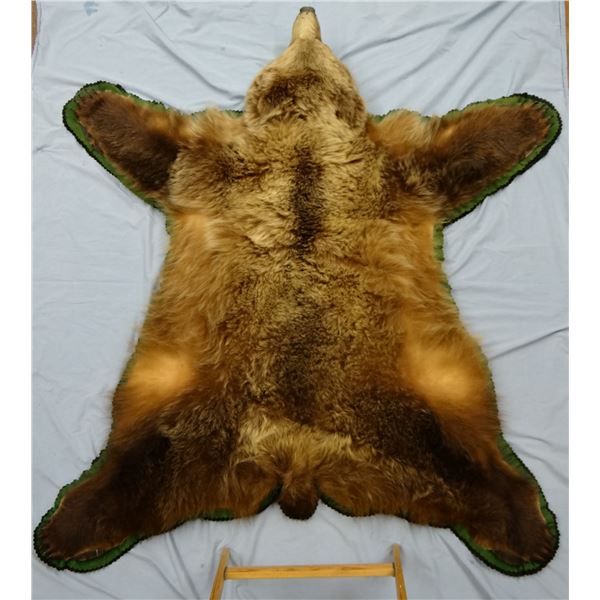 Grizzly bear rug, 68"