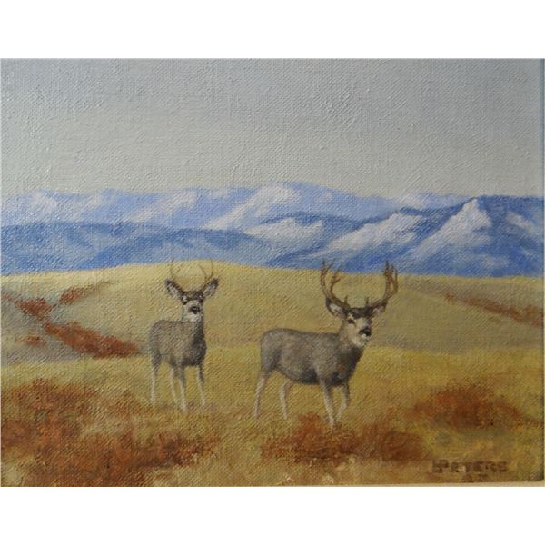 Les Peters (1916-2010)  oil on board, 8" x 10", Nice Pair, Mule Deer Bucks
