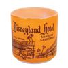 Image 1 : Disneyland Hotel Federal Glass Mug.