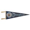 Image 3 : Pair of Disneyland Tencennial Souvenir Pennants.