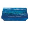 Image 1 : Finding Nemo Submarine Voyage Invitation & Press Kit.