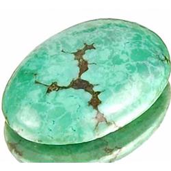 23ct. Stunning Natural Middle East Turquoise Gemstone RETAIL $900 (GEM-0780)