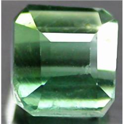 .95ct. Neon GreenPink Natural Tourmaline RETAIL $500 (GEM-0984)