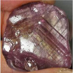 81.5ct AAA Hard To Find Top Moonstone Effect Bi-Color Pink/Purple Ruby Rough (GEM-0569)