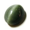 6.78ct. Excellent Apatite Cat's Eye Stone RETAIL $675 (GEM-1429)